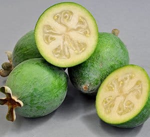 Guava Pineapple fruit