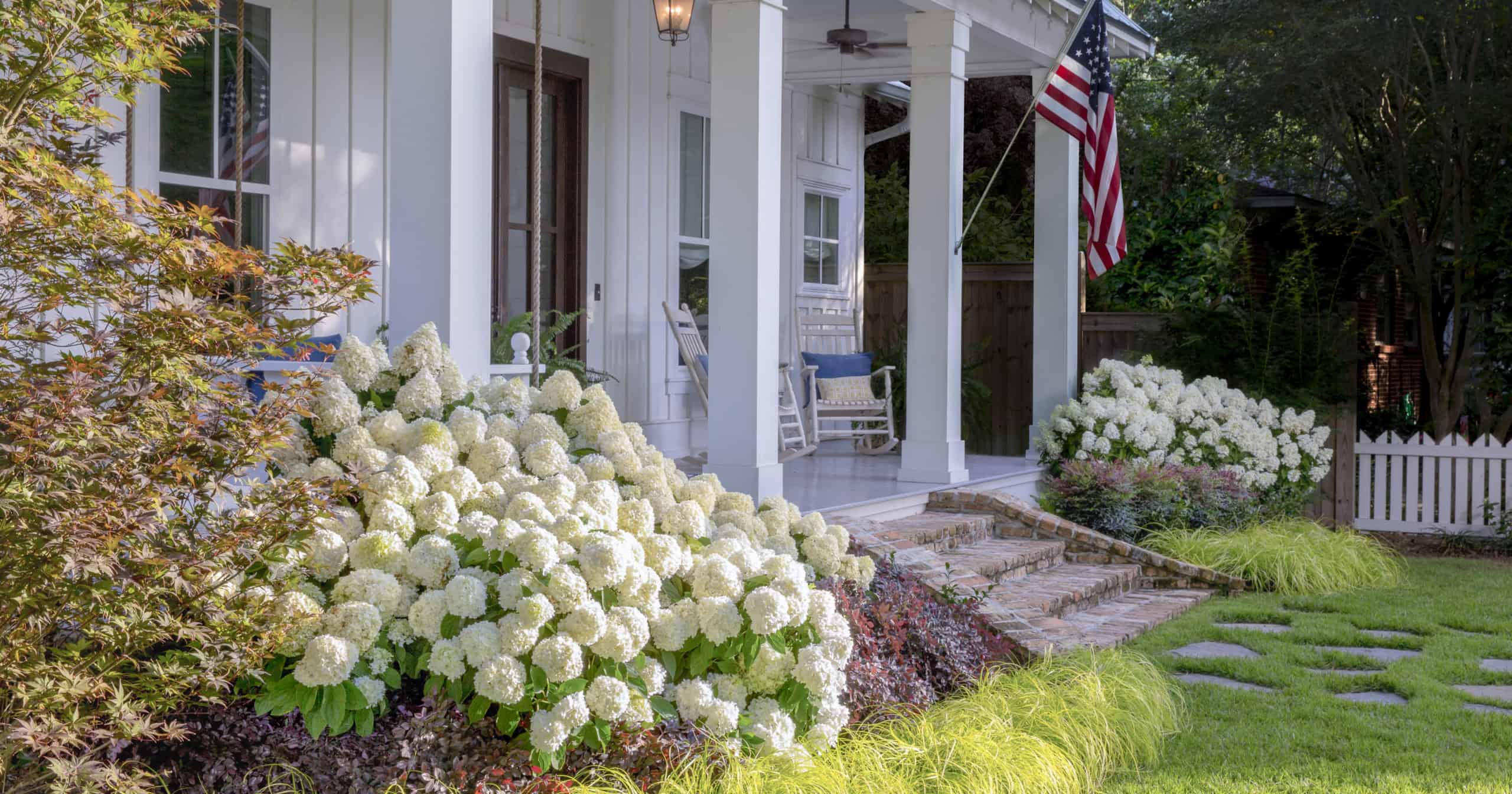 white wedding® hydrangea from southern living