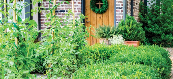 If my front door containers are any indication, location matters when it comes to the kitchen garden. As the name implies, these gardens are best located as close to the kitchen as possible to allow easy access to herbs and produce. Incorporating edibles into beds surrounding your patio or lining the back porch with containers are great ways to bring herbs and veggies close to the action. 
