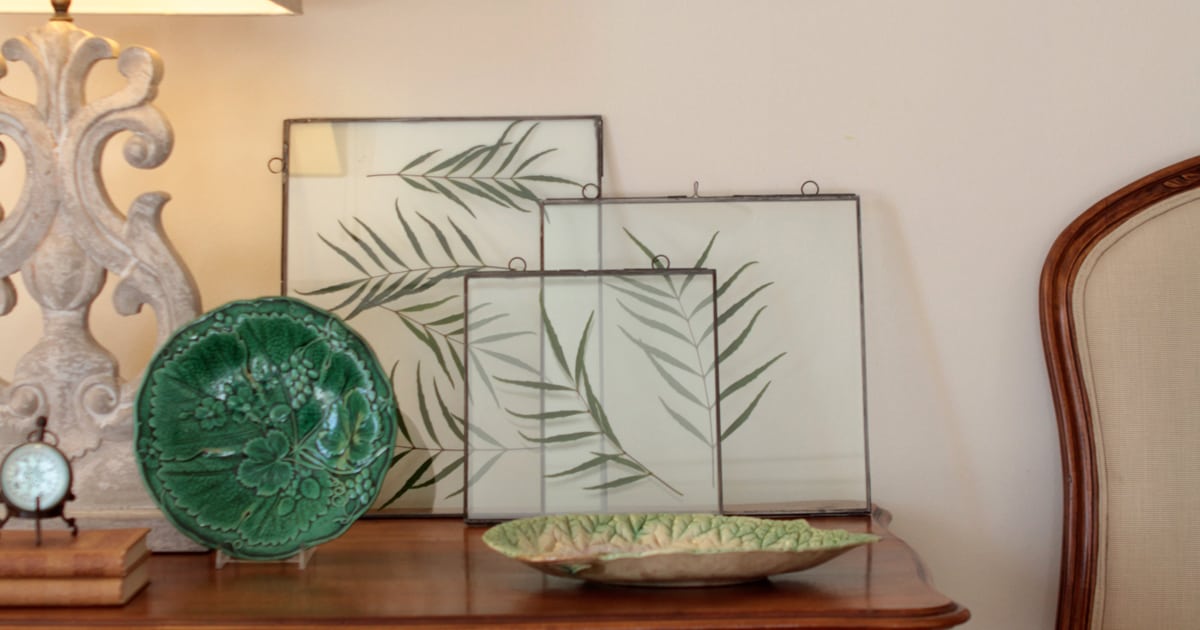Glass frames containing cut foliage from Soft Caress Mahonia