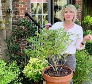 Linda Vater pruning her Southern Living plants in her garden