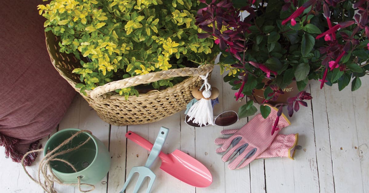 Southern Living plants and gardening tools and gloves on a white-washed pallet