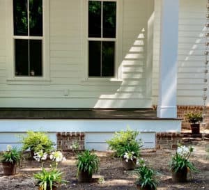 White slat house with low porch and new arrangement of Southern Living 1 gallon plants placed for planting