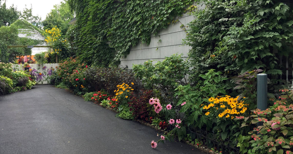 Driveway lined with many different colorful plants.