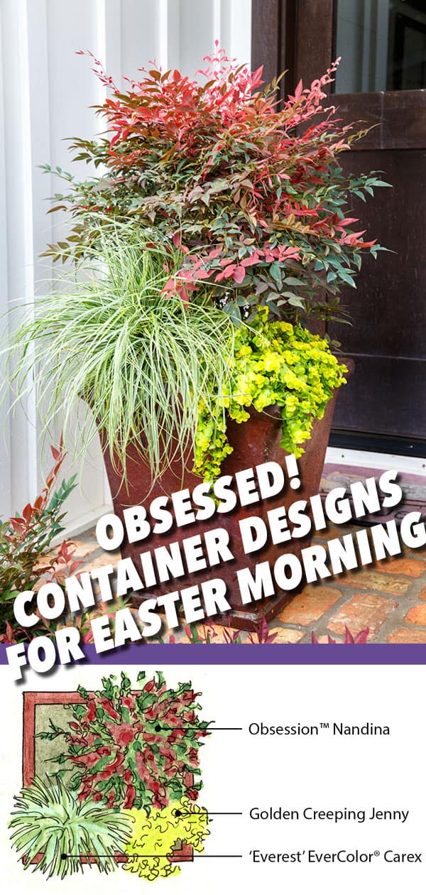 Plant Combinations Obsession Nandina Containers for Easter Morning 600x1260