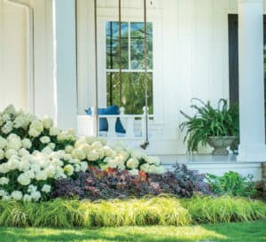 Southern home landscape including White Wedding Hydrangea and Everillo Carex from Southern Living