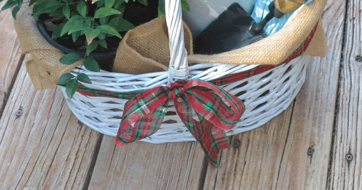 White woven basket of Lemon-Lime Nandina, gloves and spade, tied with plaid ribbon as a darling gift