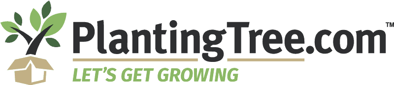 logo planting tree online retailer