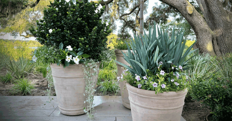 Southern Living Plants on a coastal patio at the 2024 Idea House