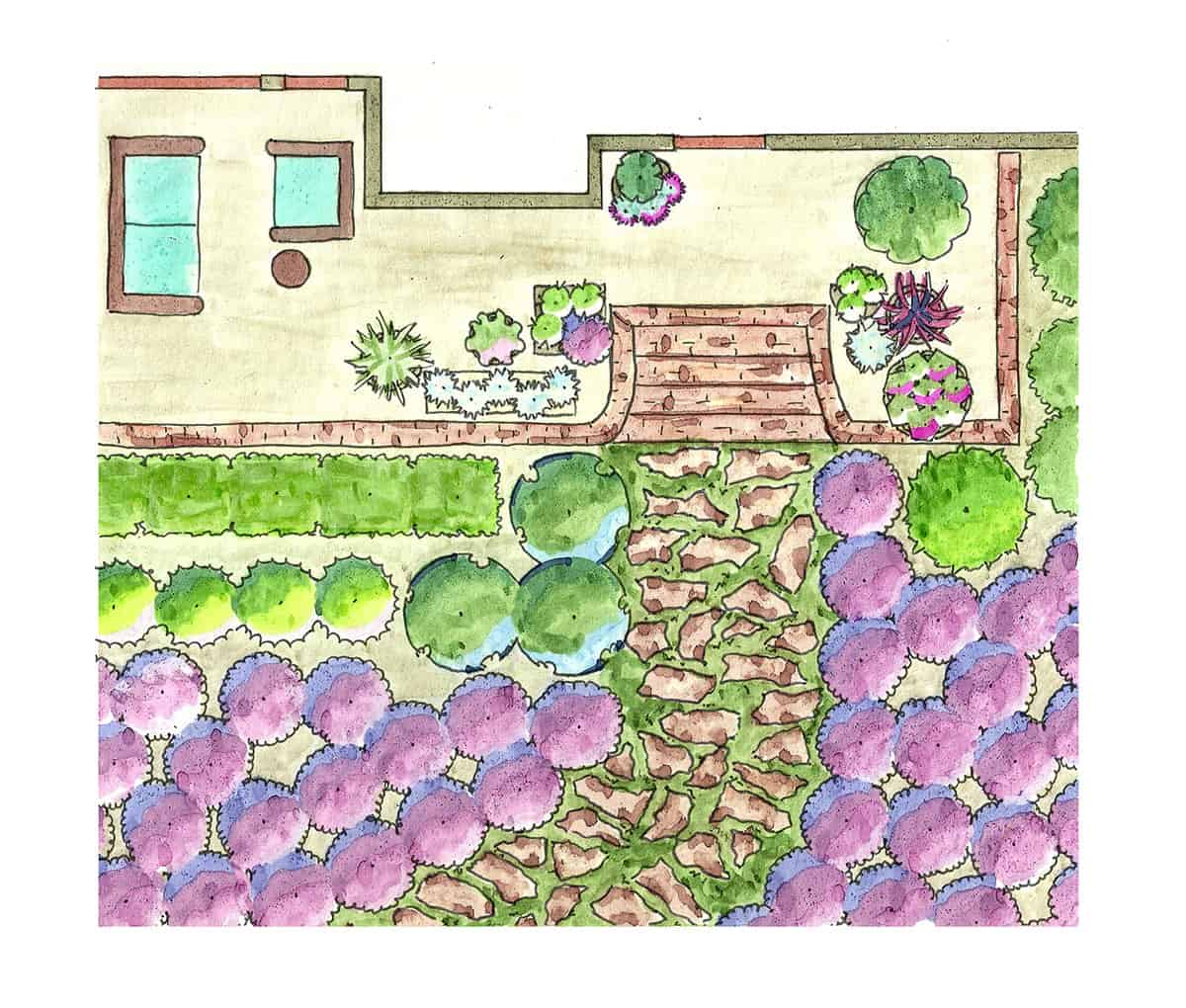 Garden plan for purple daydream loropetalum