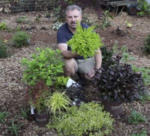 Jim Putnam in garden surrounded by sun-loving Southern Living plants including Sunshine Ligustrum.