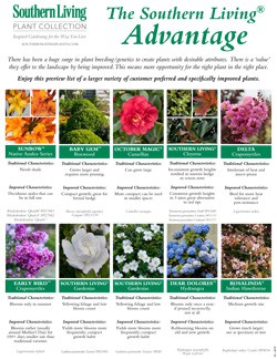 Southern Living Plant Collection Plant Promotion Schedule 2019