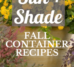 Fall Container Garden