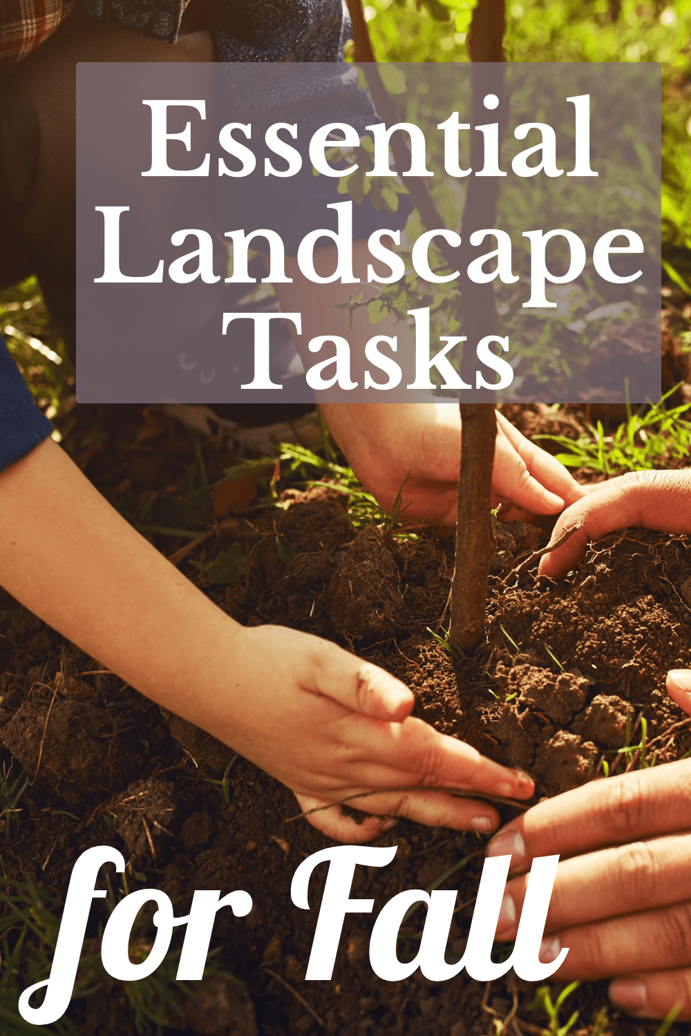 Your Fall To-do List: 10 Essential Landscape Tasks