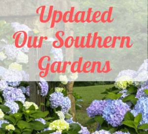Southern Garden with Hydrangeas