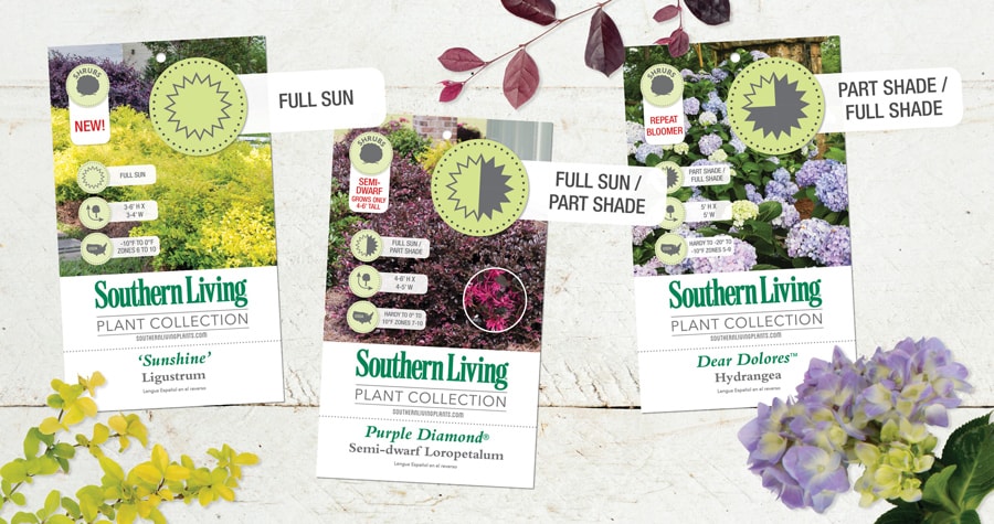 Colage of Southern Living Plant tags