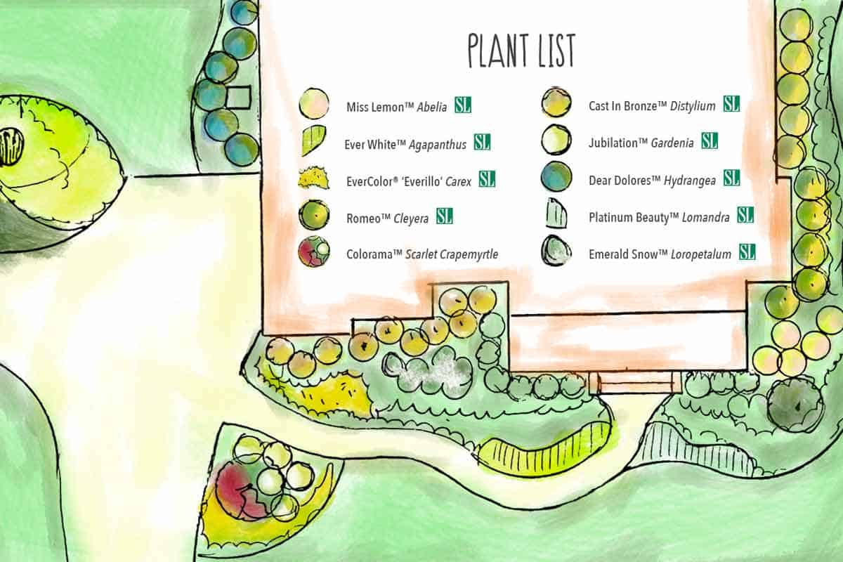Front Yard Landscape Plan and Plant List