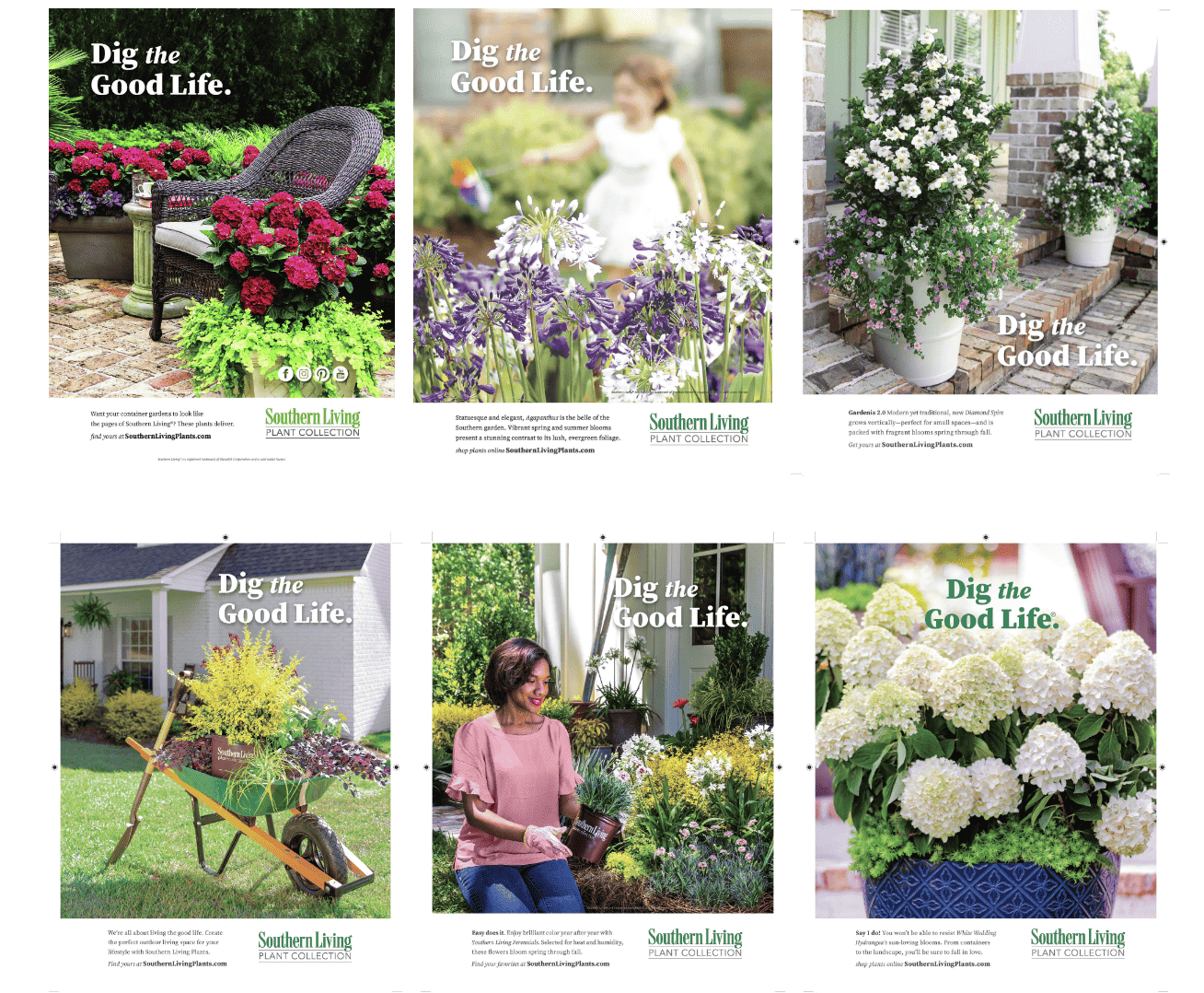Grid of Southern Living Ads