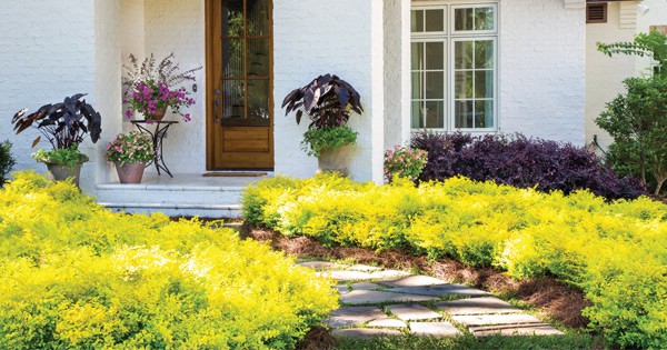 How To Create Depth In The Landscape, Small Green Plants For Landscaping