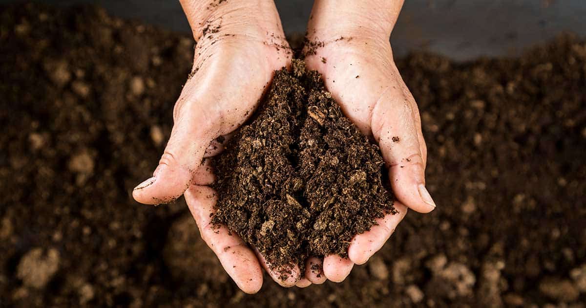 Soil Dirt Hands iStock 489871228 1200x630