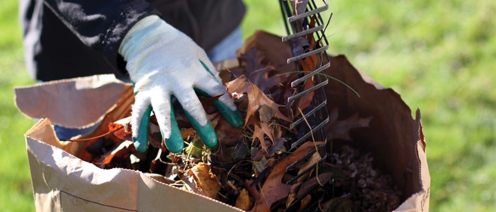 gloved hands raking up leaves