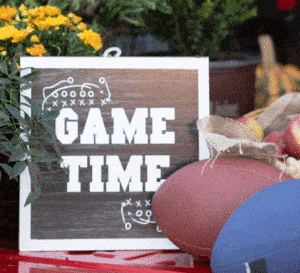 Centerpiece for a football party with chalkboard sign and Southern Living plants