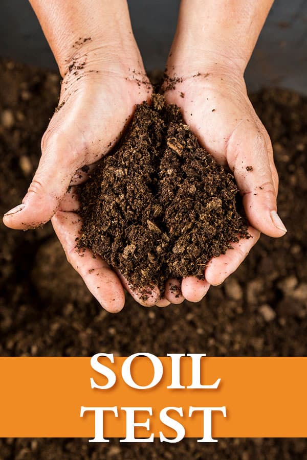 Hands cupped and holding rich brown soil