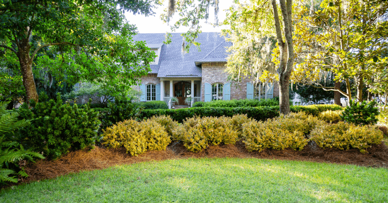 A house with a boxwood and abelia garden border