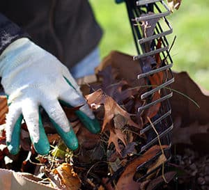 Gloved hands pull fallen leaves from rake tines and drop them into compost bin