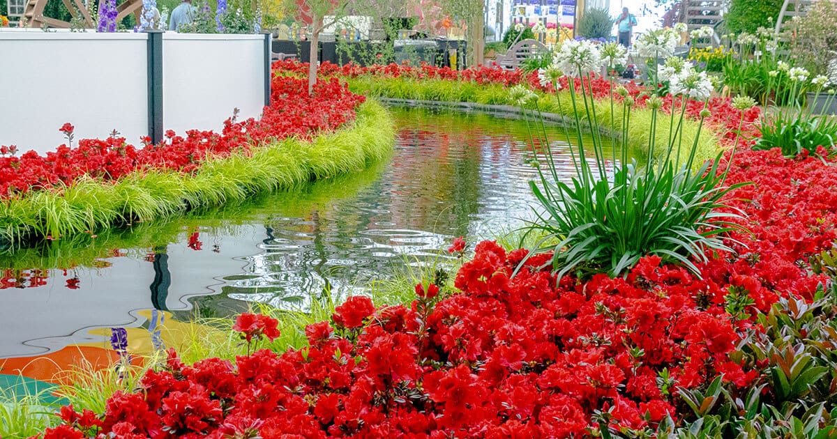 Red botanical garden with pond