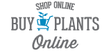 Buy Plants Online Button