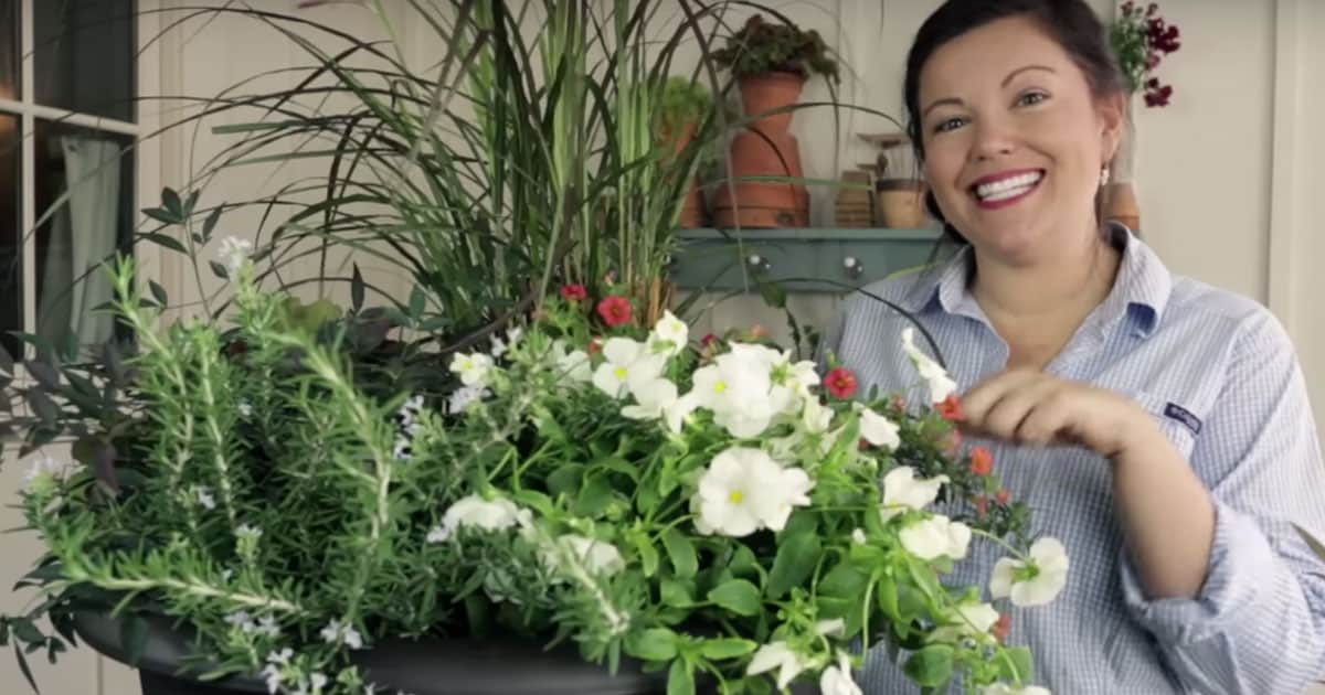 How to Plant a Fall Container Garden