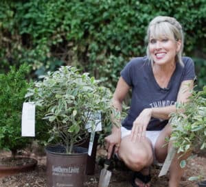 Linda Vater posing in her garden with a pair of Juliet Cleyera 2 gallon plants in Southern Living brown plastic pots