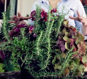 How to Plant a Container Garden for Your Patio Table