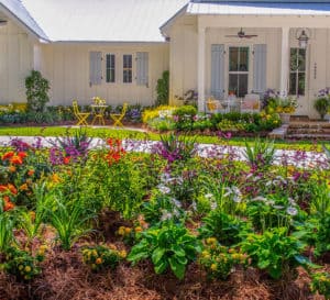 Front yard Southern Living perennial bed hugs the circle driveway in front of a white slat house with blue shutters