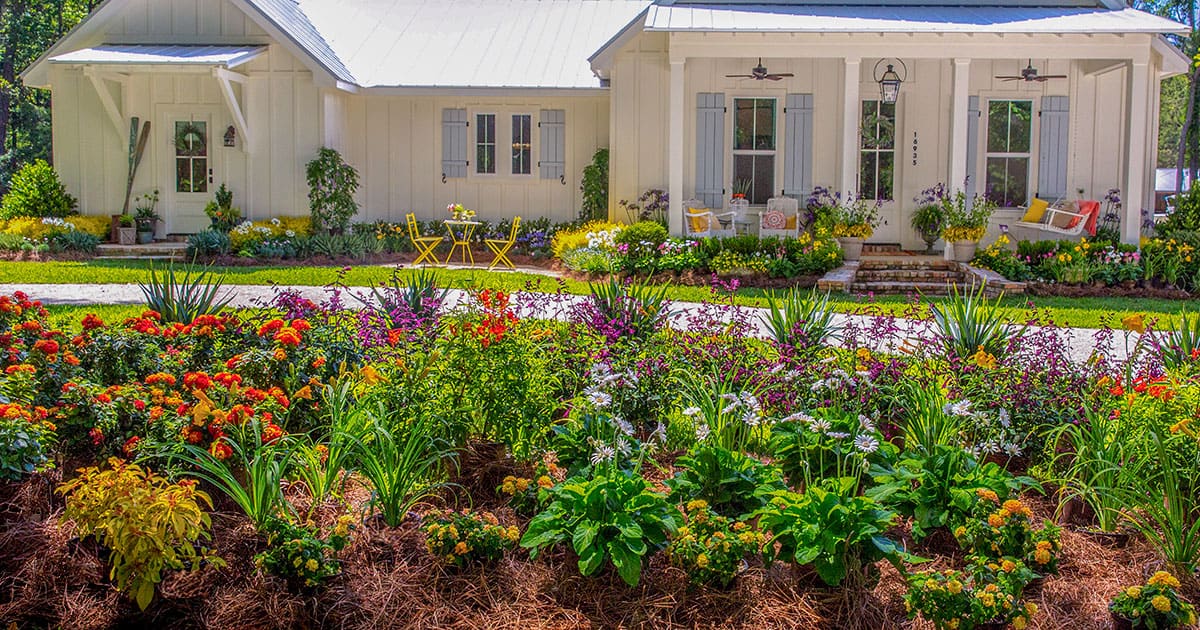 Front yard Southern Living perennial bed hugs the circle driveway in front of a white slat house with blue shutters