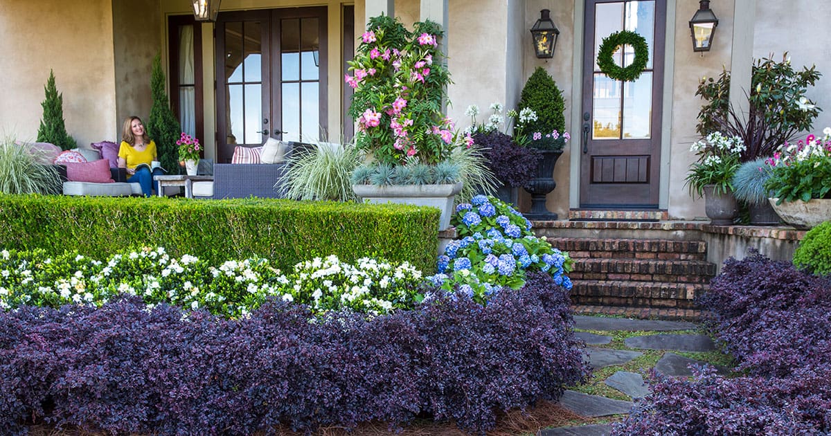 Lady sitting on front porch in front of boxwoods