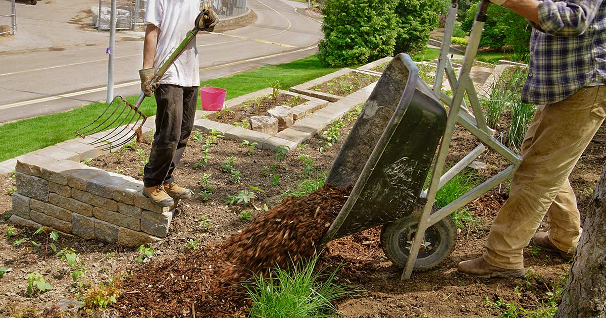 Local Landscapers Southern Living Plants, Suburban Lawn And Garden Mulch
