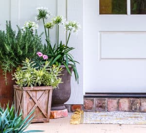 White house and back door set with a trio of wooden and urn containers full of Southern Living plants