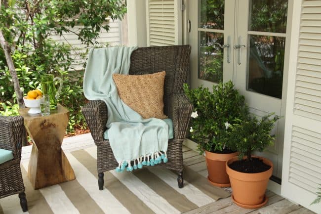 Frost proof gardenia in container on front porch with a wicker chair