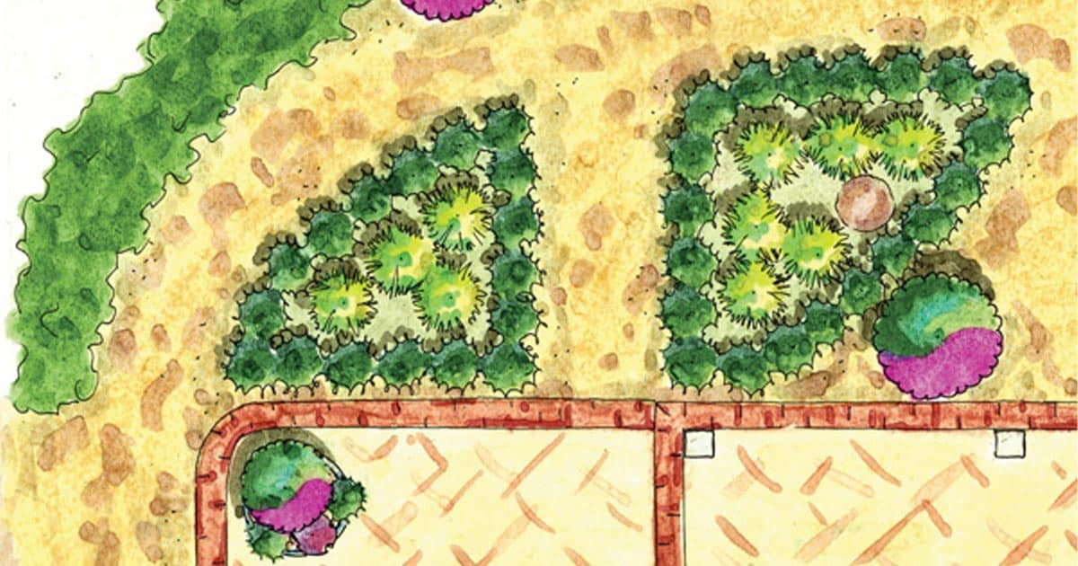 garden plan from Southern Living including evergreen shrubs, fruit and berry plants