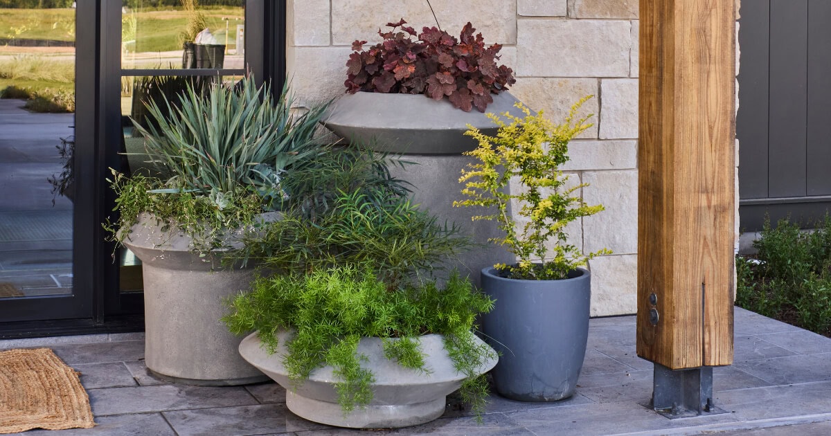 Planted containers at the front entry of the 2026 Southern Living Idea House