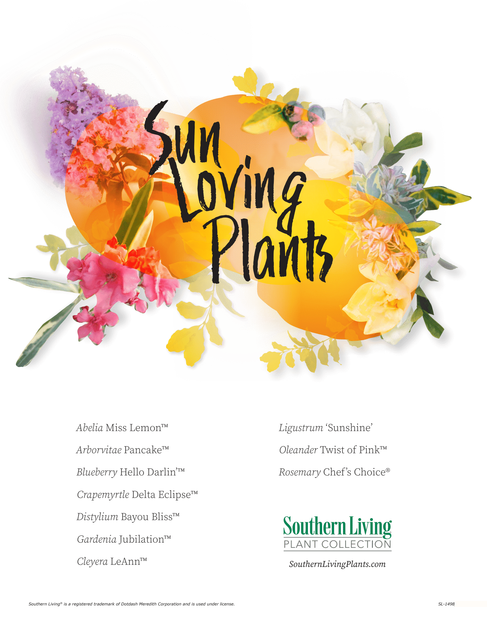 sun loving plants guide