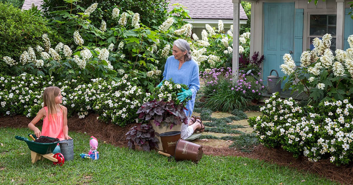 Testimonials Southern Living Plants Testimonials Southern Living Plants