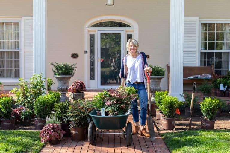 Where to Buy Southern Living Plants
